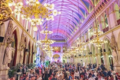 Inst_Ball_2025_pano_8